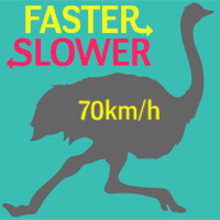 Faster or Slower: Animals