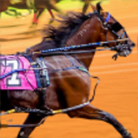 Harness Racing