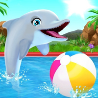 Dolphin Show Game