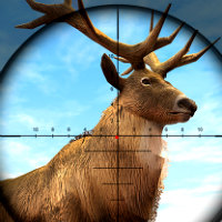 Wild Hunter - Play the Best Wild Hunter Games Online