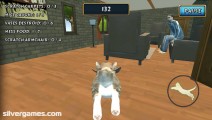 Cat Simulator: Exploring