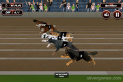 Crazy Dog Racing: Dogs Sprinting Gameplay