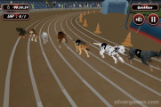 Crazy Dog Racing: Dogs Racing