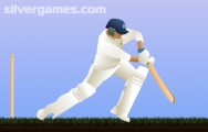 Cricket: Ball Sport