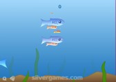 Fishy: Gameplay Big Fish