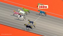 Horse Derby Racing: Horse Race Gameplay