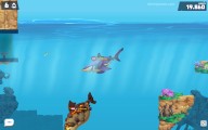 Hungry Shark Arena: Io Fish Gameplay