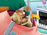Knieoperation: Surgeon