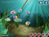 Allons Pêcher: Gameplay Catching Fish