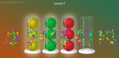 Ball Sort: Successful Puzzle Game
